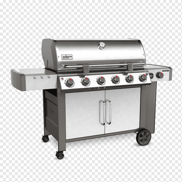 Barbecue weber conforama