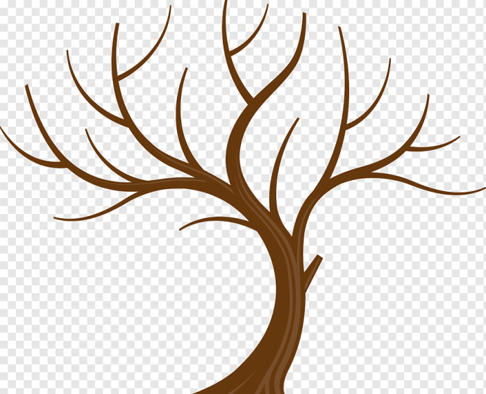 Dessiner un arbre sans feuille