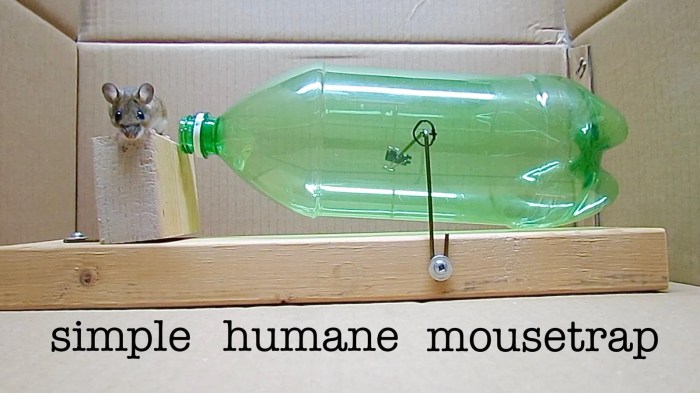 Comment faire un piege a souris avec une bouteille