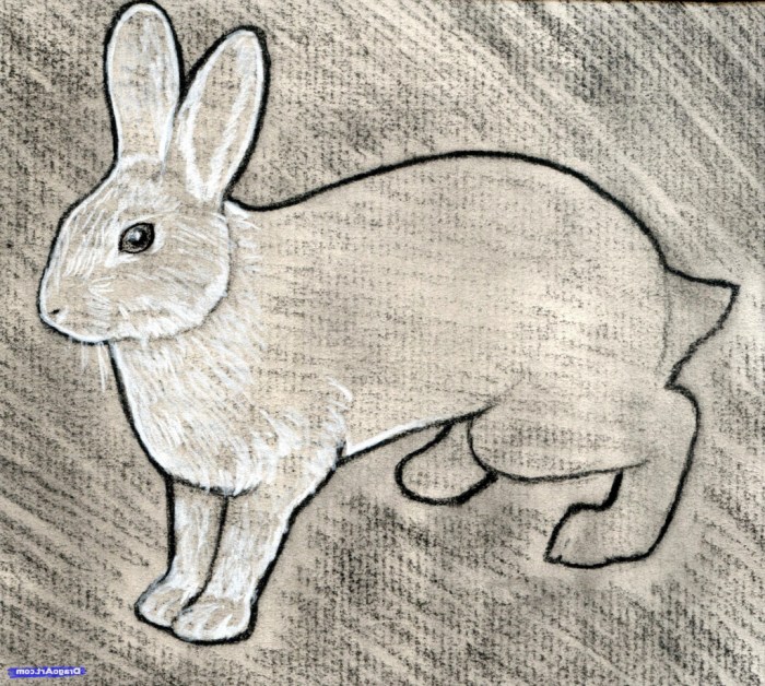 Comment dessiner un lapin de paques