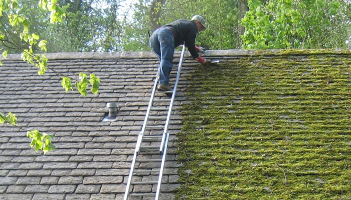 Moss roof removal remove rid getting grow without clean tiles