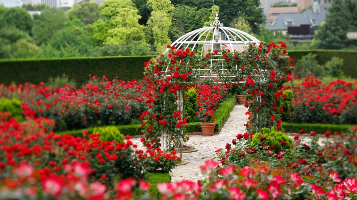 Manoir de la roseraie restaurant