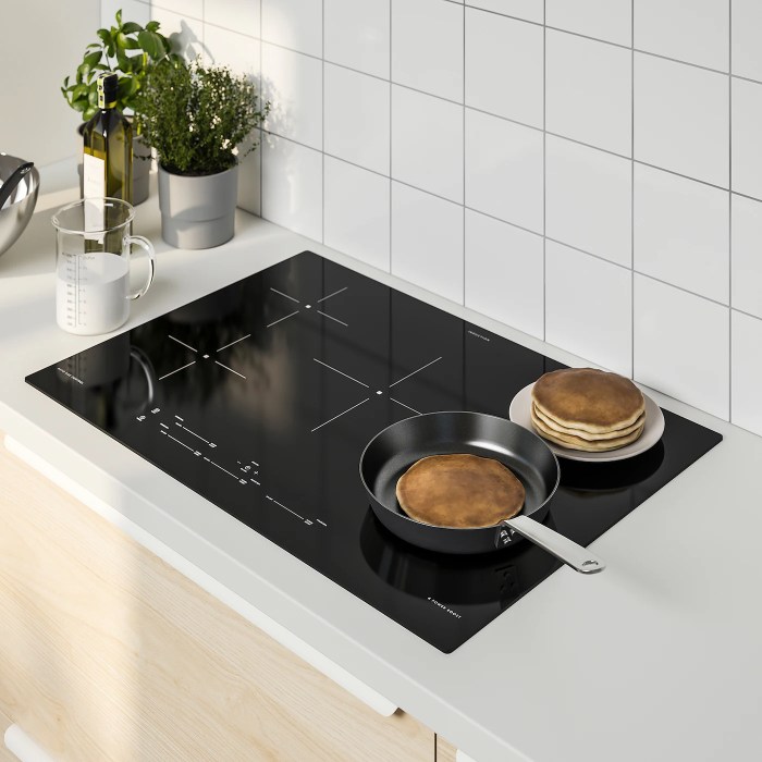 Induction cooktop cooktops favourite