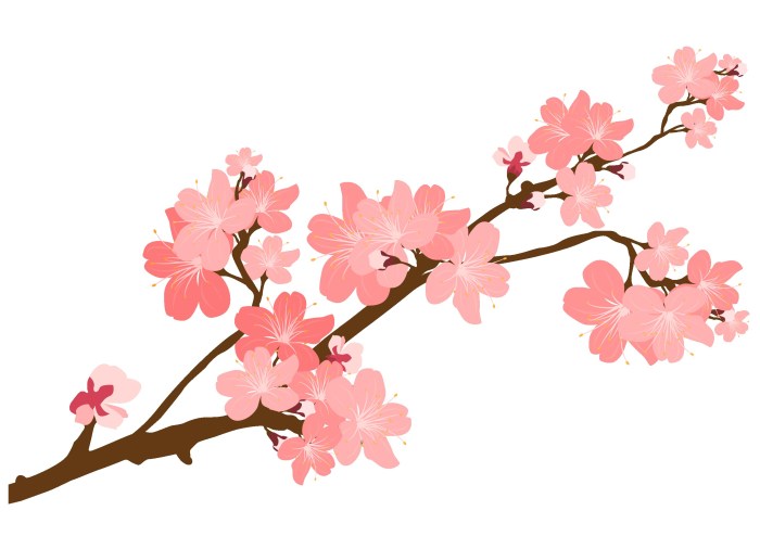 Cherry blossom drawing branch tree