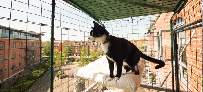 Balcony balconies proof enclosures sanctuary sos catio specialists