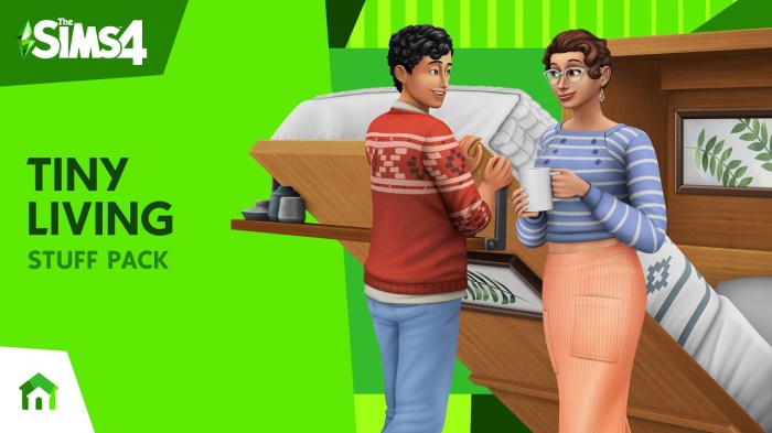 Sims 4 bricolage