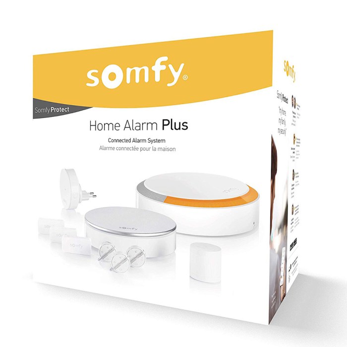 Somfy alarme