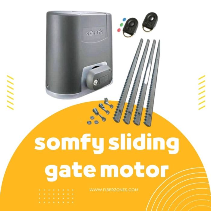 Somfy motorisation slidy moove opener conrad porte coulissante rts