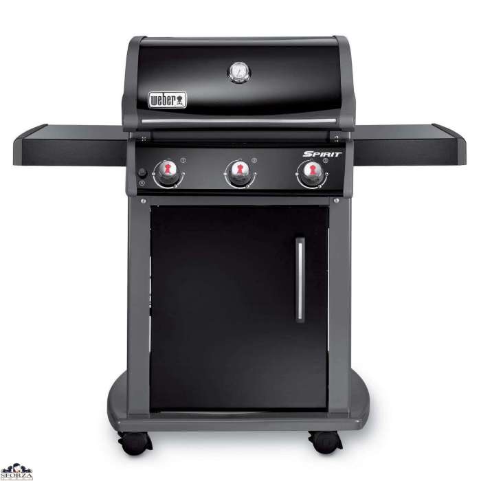 Barbecue weber pas cher