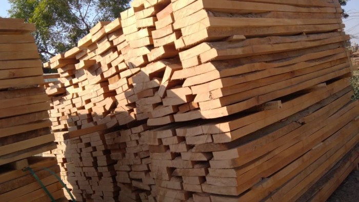 Beech european used wood timber uses