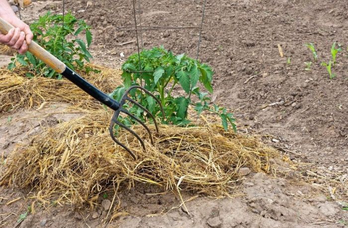 Straw mulch bale