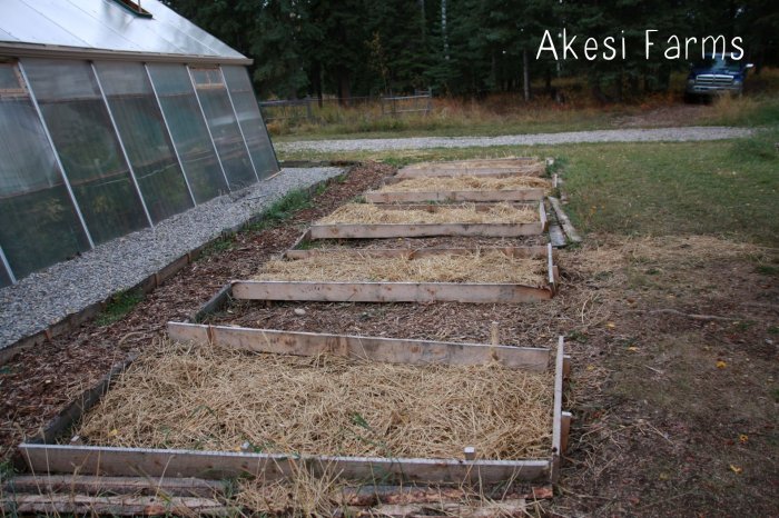 Straw mulch 2008