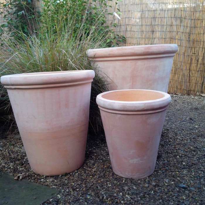 Terracotta pots healthier retains moisture