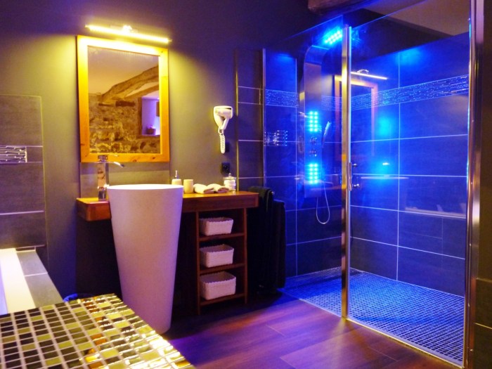 Hotel jacuzzi chambre lyon