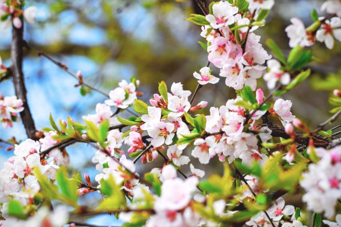 Les couleurs du printemps dans votre déco