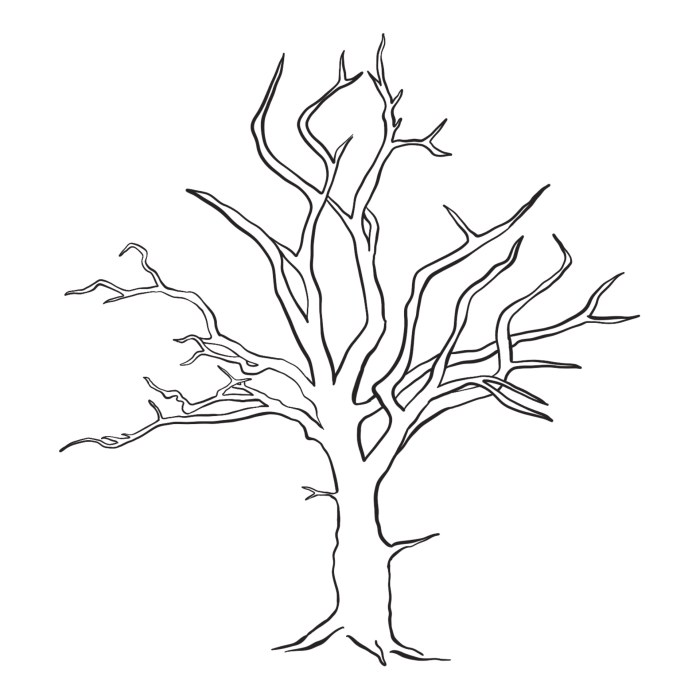 Coloriage arbre sans feuille