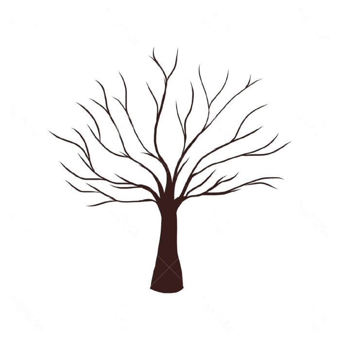 Arbre sans feuille dessin