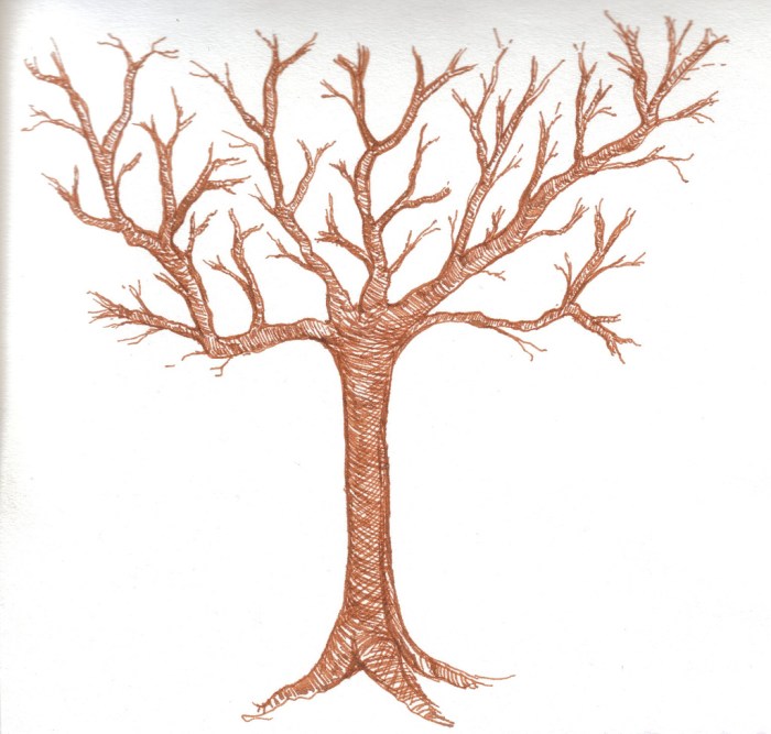 Dessin arbre sans feuilles