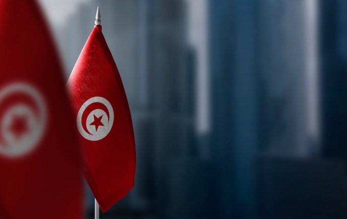 Tunisie nos professionnels