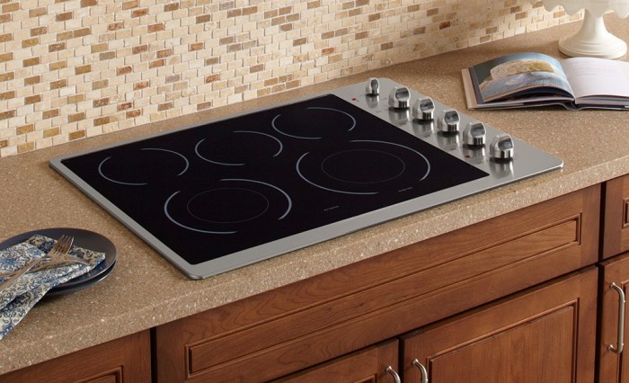 Induction cooktop viking professional series