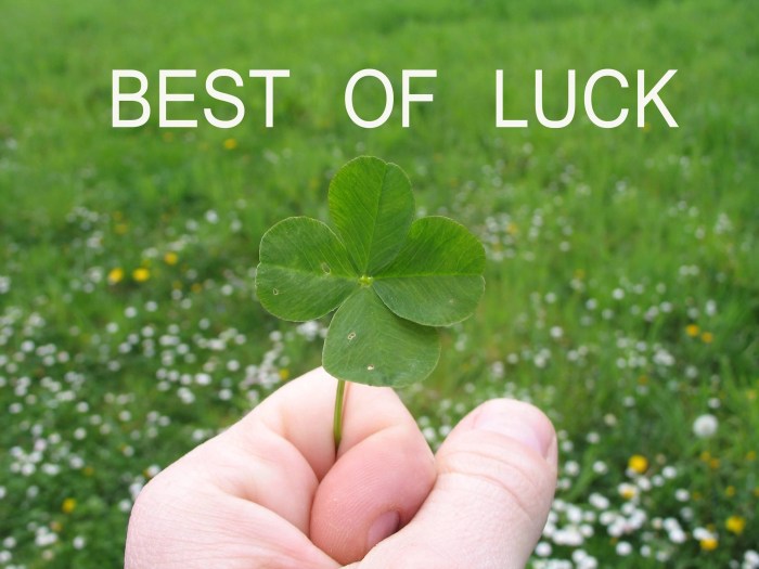 Luck good wishes exam wallpaper wallpapers hd cards smileys quotes success desktop exams school desicomments future card background friends wish