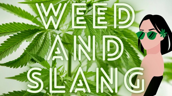 Slang marijuana explained potguide pot culture