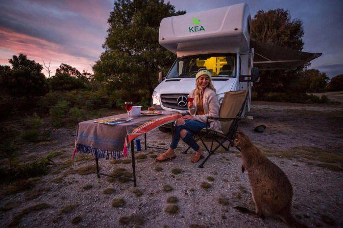 Abri camping car leroy merlin