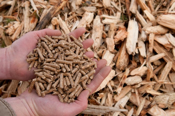 Pellets de bois castorama