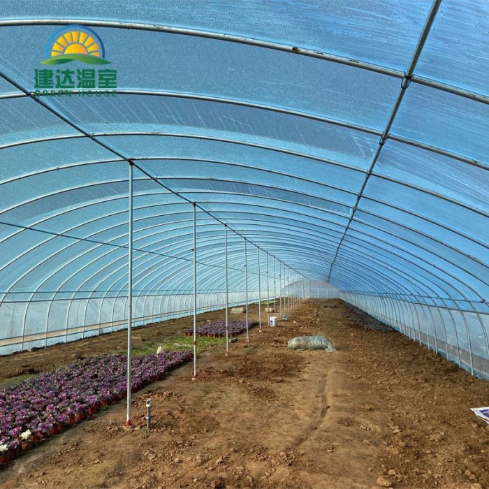 Tunnel greenhouse greenhouses گلخانه