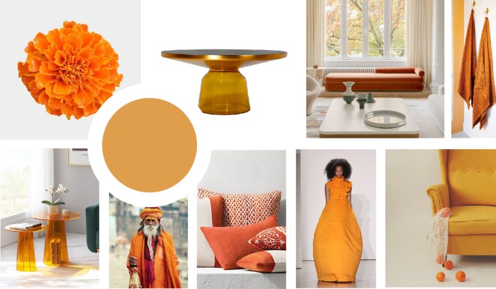 5 couleurs tendances 2024 pour sublimer votre intérieur