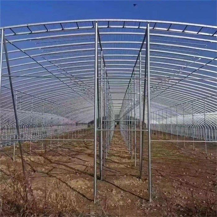 Polytunnel hang veg poly