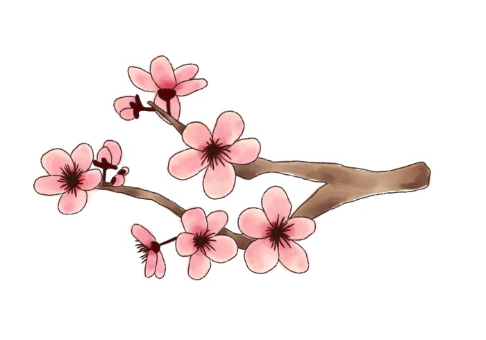 Cherry blossom tattoo japanese flower drawing outline blossoms stencil tattoos designs drawings flowers sketch japan ideas pencil flores getdrawings google